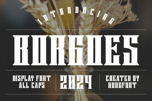 Borgoes: A Premium Typeface That Elevates Everyday Brands