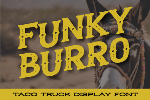 Funky Burro: A Designer's Honest Review for Real Projects